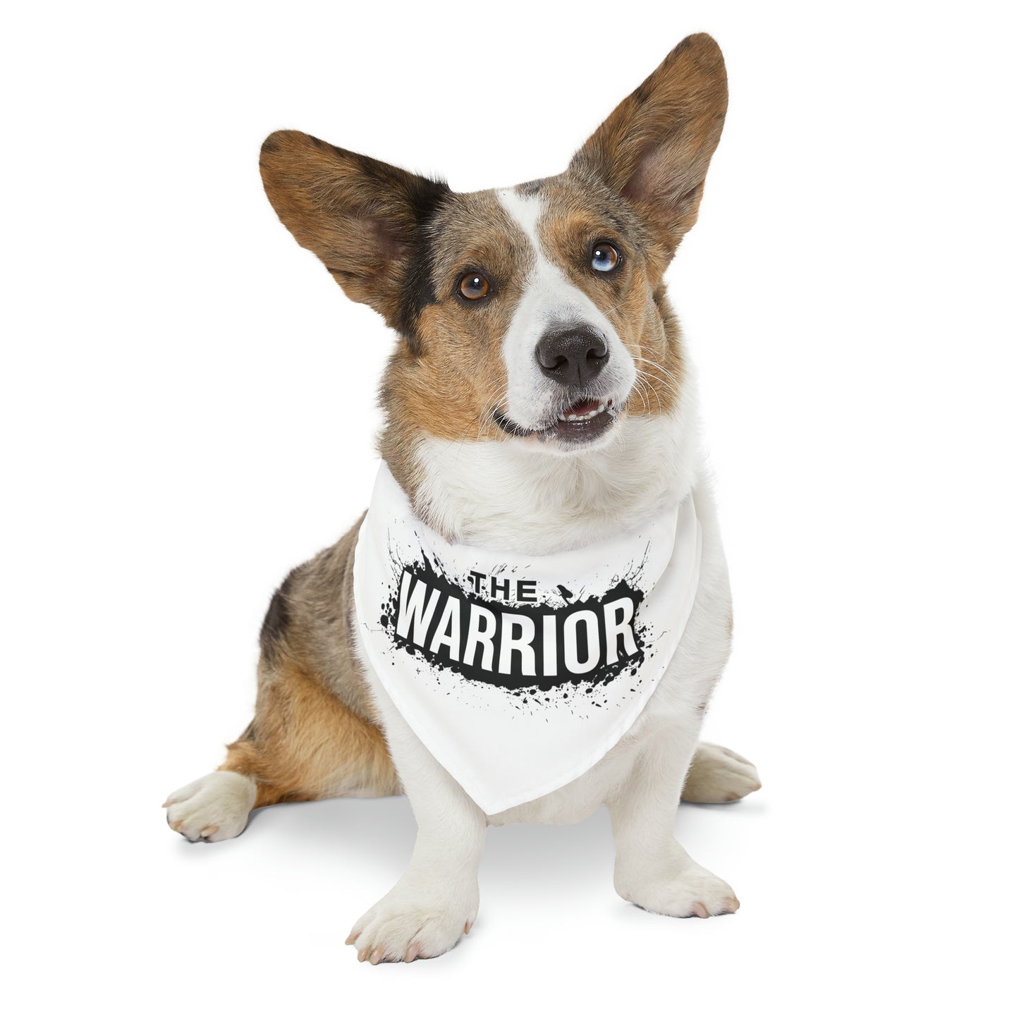 Warrior Pet Bandana Collar