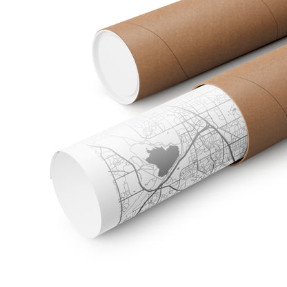 Denver Colorado City Map Matte Vertical Posters
